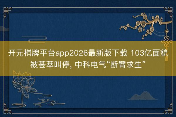 开元棋牌平台app2026最新版下载 103亿面貌被荟萃叫停， 中科电气“断臂求生”